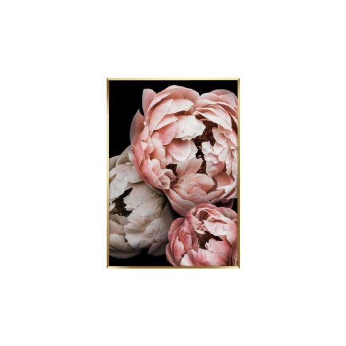 home-decor/wall-decor/styler-artbox-50cm-x-70cm-ab114-peony