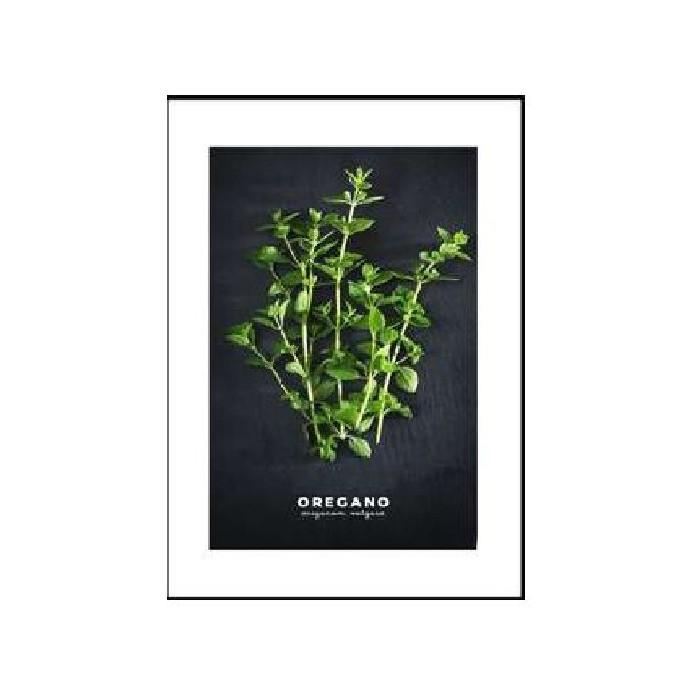 home-decor/wall-decor/styler-artbox-digi-50cm-x-70cm-ab182-oregano