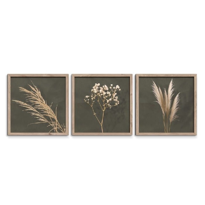 home-decor/wall-decor/styler-wall-set-of-3-–-30cm-x-30cm-fr391-pampas