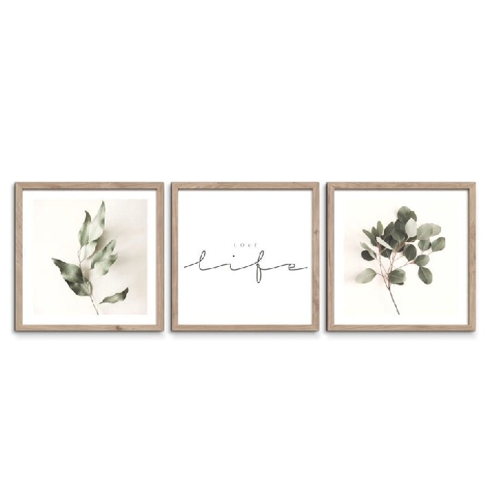 home-decor/wall-decor/styler-wall-set-of-3-30cm-x-30cm-fr392-floral