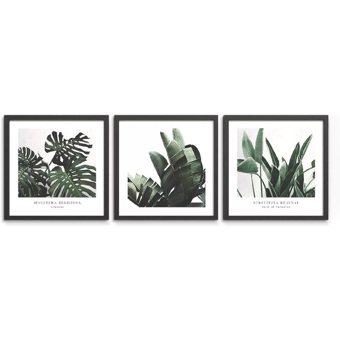 home-decor/wall-decor/styler-wall-set-of-3-30cm-x-30cm-fr398-plant