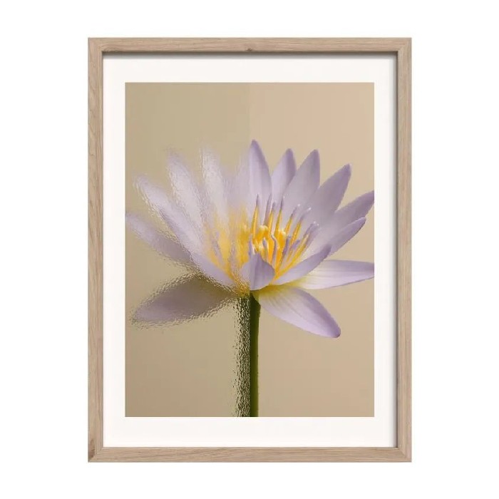 home-decor/wall-decor/styler-modernpik-wall-art-30cm-x-40cm-fr571-lotus-flower