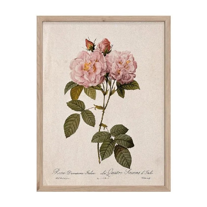 home-decor/wall-decor/styler-modernpik-wall-art-30cm-x-40cm-fr522-vintage-rose