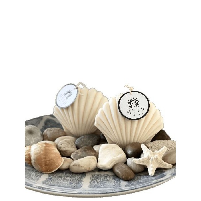 home-decor/candles-home-fragrance/myth-and-wild-pacific-shell