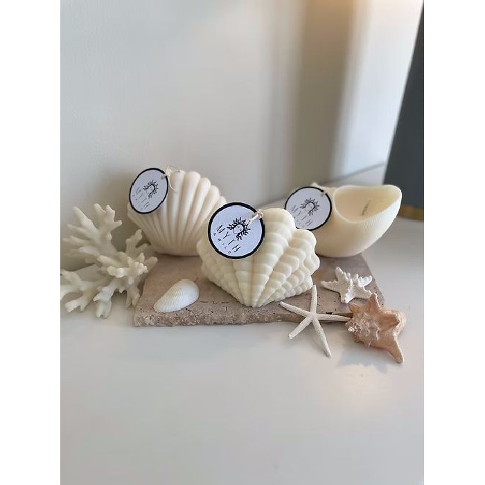 home-decor/candles-home-fragrance/myth-and-wild-pacific-shell