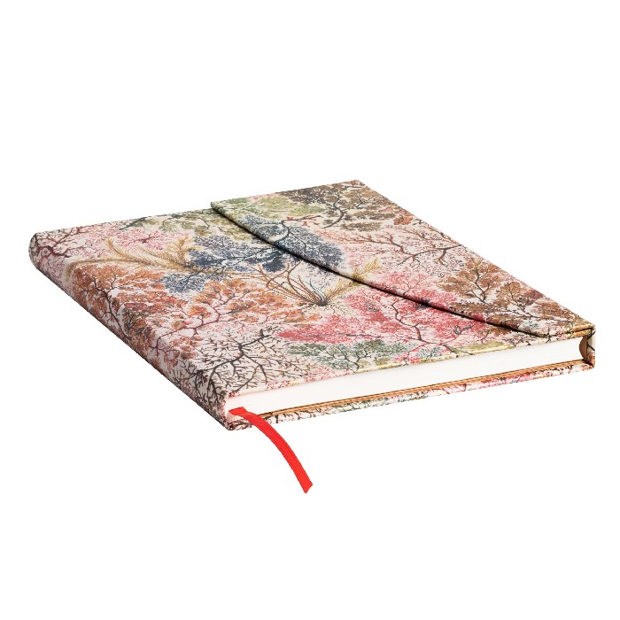 kids-and-stationery/stationery/william-kilburn-anemone-midi-lined