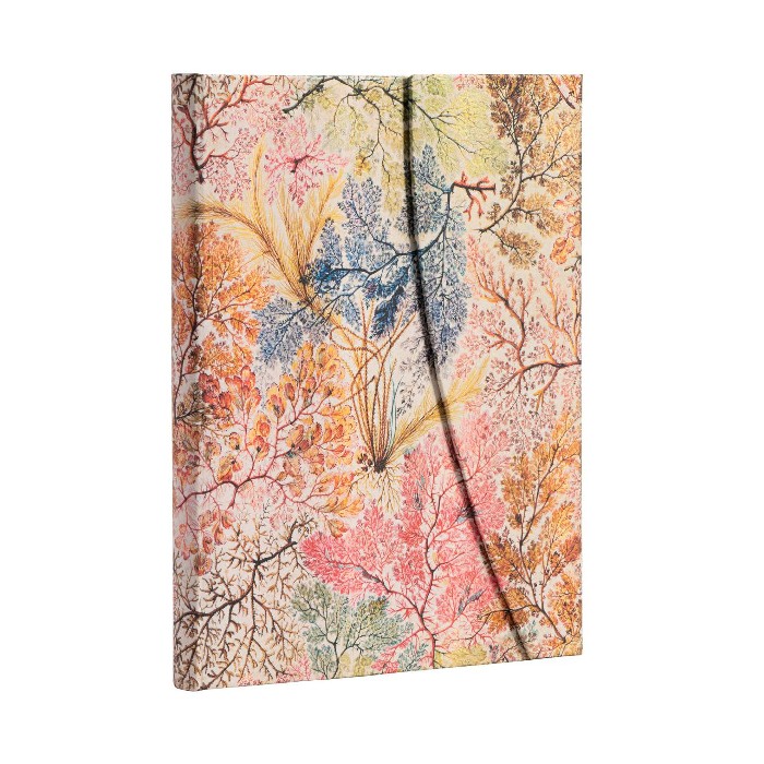 kids-and-stationery/stationery/william-kilburn-anemone-midi-lined