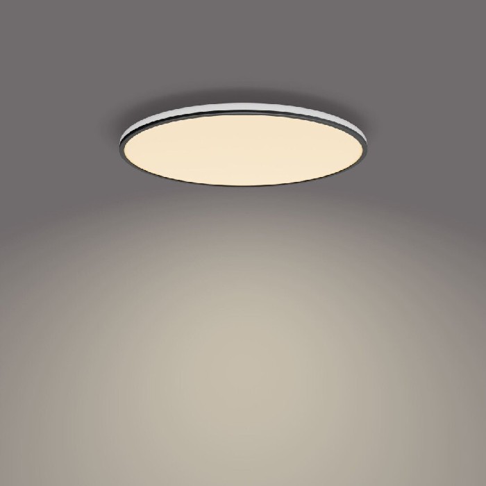lighting/ceiling-lamps/philips-ozziet-ceiling-36w-3900lm-2700k-black