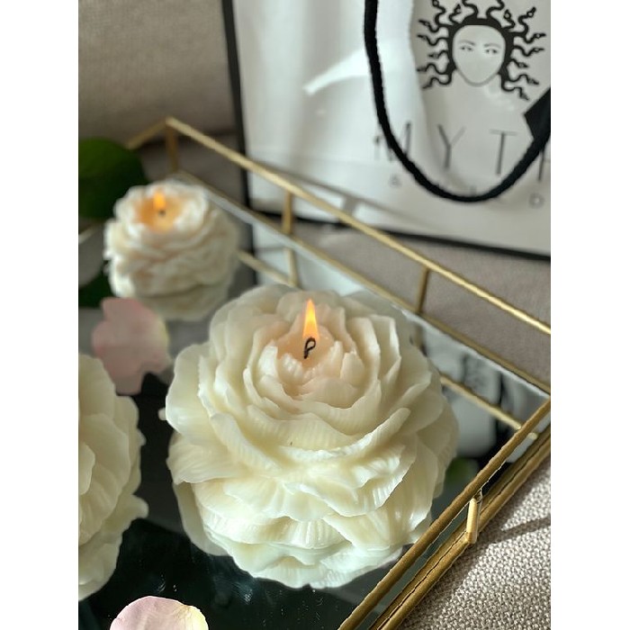 home-decor/candles-home-fragrance/myth-and-wild-peony-xl-candle