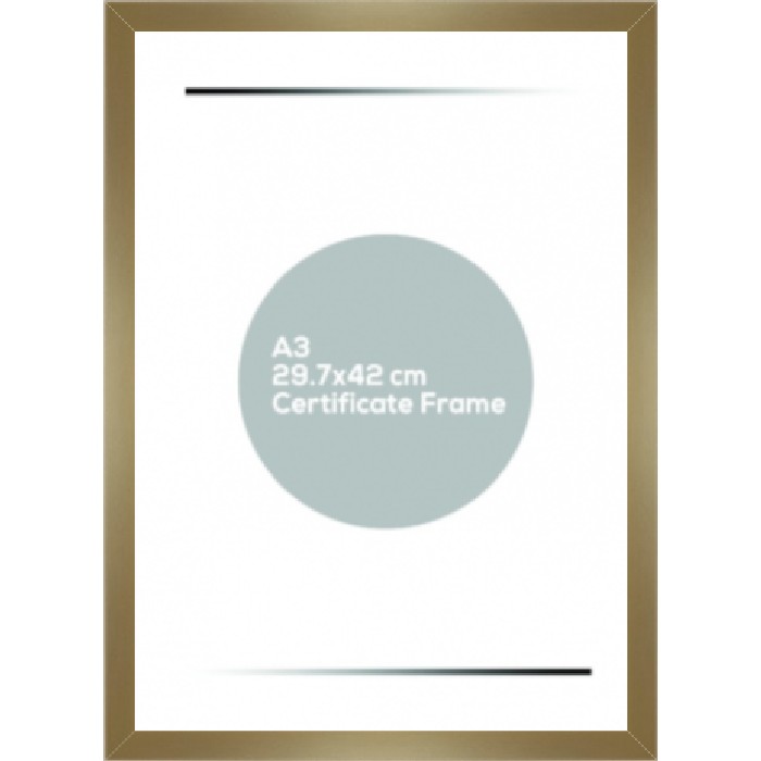 home-decor/frames/a3-photo-frame-hanging-gold