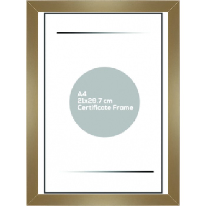 home-decor/frames/a4-photo-frame-hanging-gold