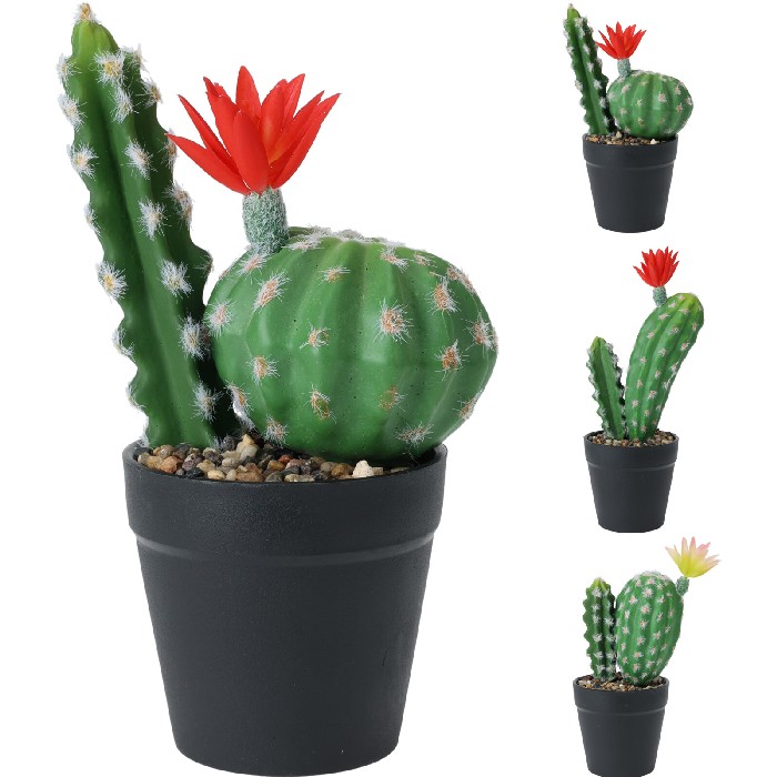 home-decor/artificial-plants-flowers/cactus-plant-in-pot-–-25cm-3-assorted-designs