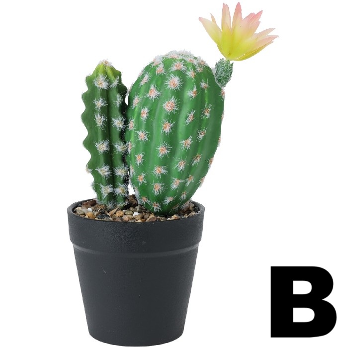 home-decor/artificial-plants-flowers/cactus-plant-in-pot-–-25cm-3-assorted-designs