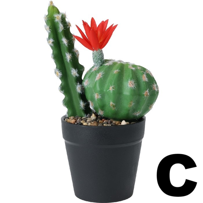 home-decor/artificial-plants-flowers/cactus-plant-in-pot-–-25cm-3-assorted-designs