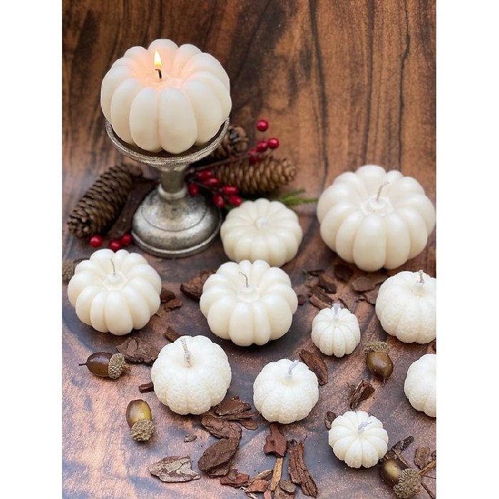 home-decor/candles-home-fragrance/myth-and-wild-pumpkin-set-of-8pcs