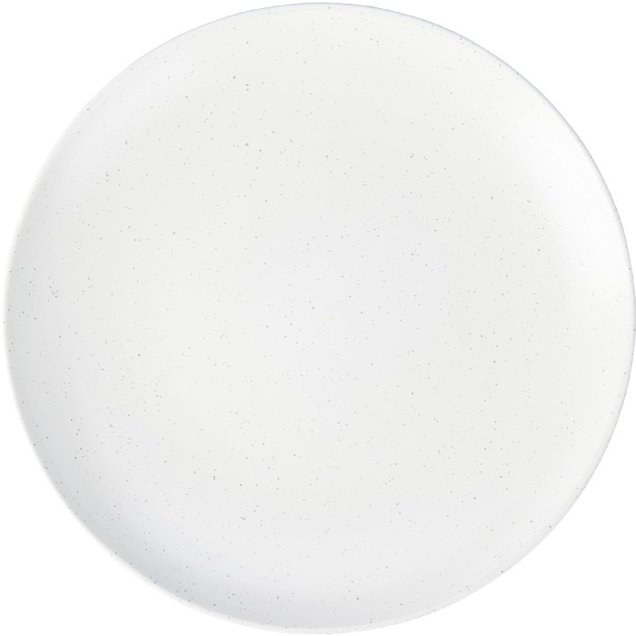 tableware/plates-bowls/stoneware-dinner-plate-2-assorted-colours