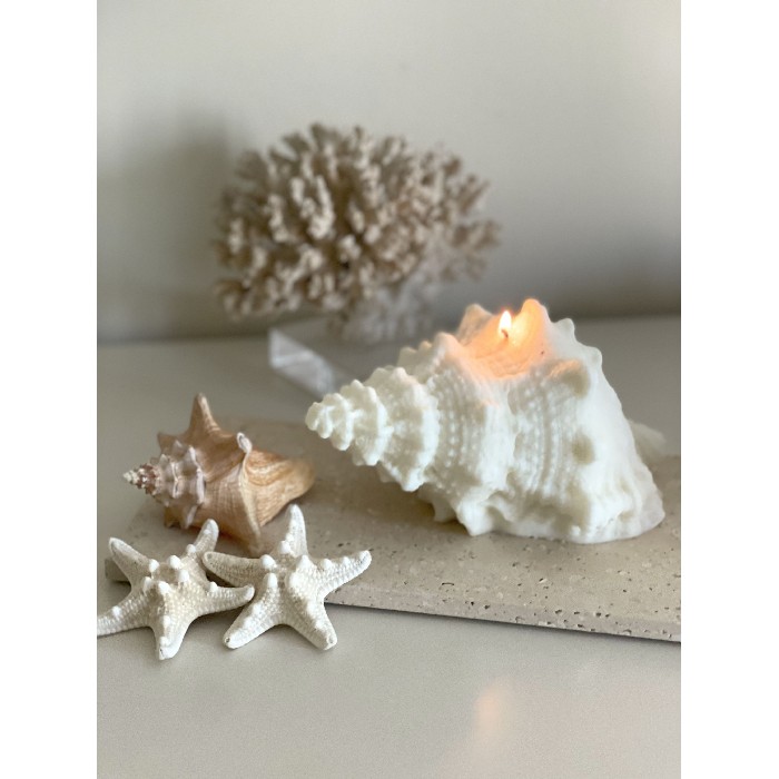 home-decor/candles-home-fragrance/myth-wild-queen-conch-pillar-candle