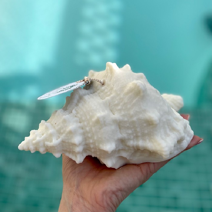 home-decor/candles-home-fragrance/myth-wild-queen-conch-pillar-candle
