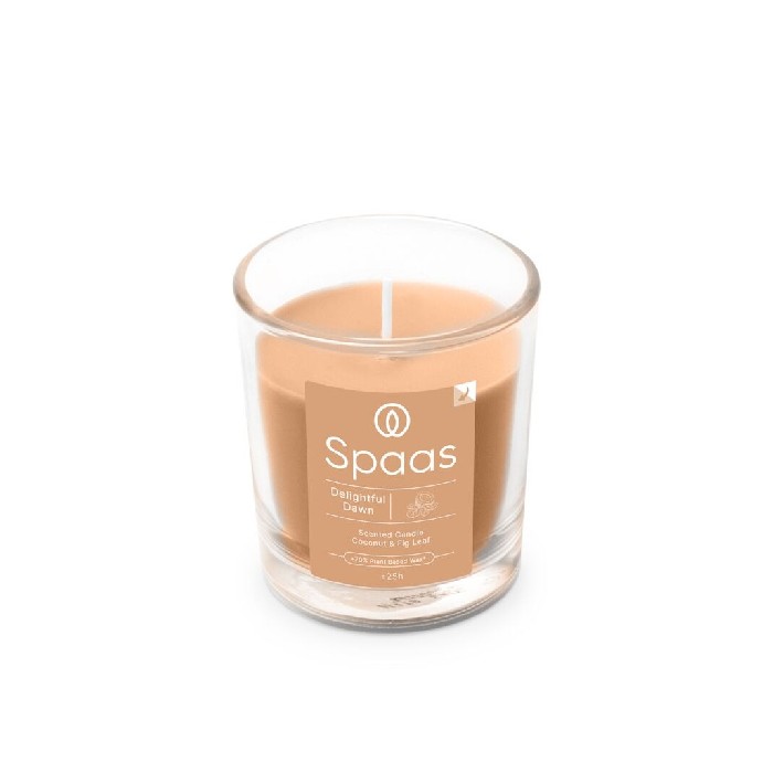home-decor/candles-home-fragrance/spaas-glass-clear-scented-coconut-and-fig-leaf