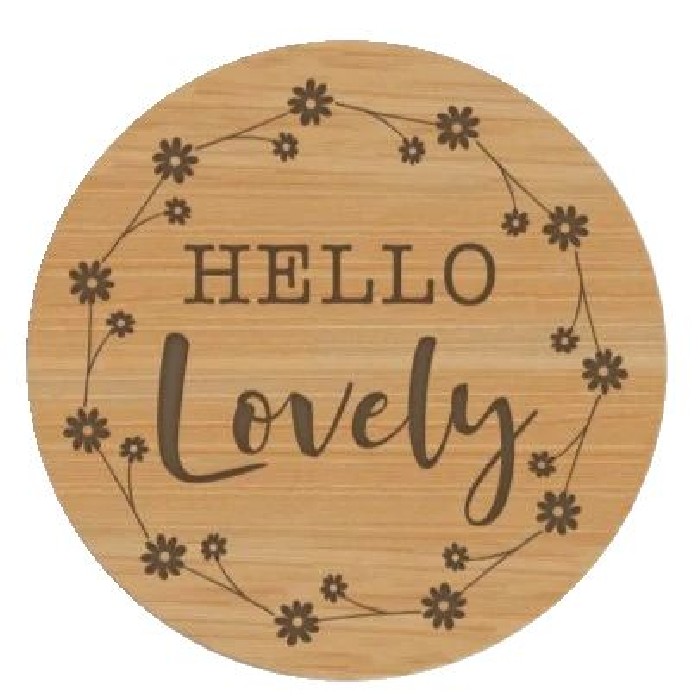 home-decor/artificial-plants-flowers/light-up-your-life-lid-hello-lovely