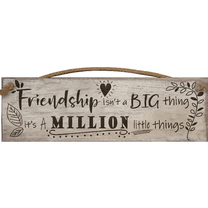 home-decor/wall-decor/wall-plaque-friendship-isn't-a-big-thing