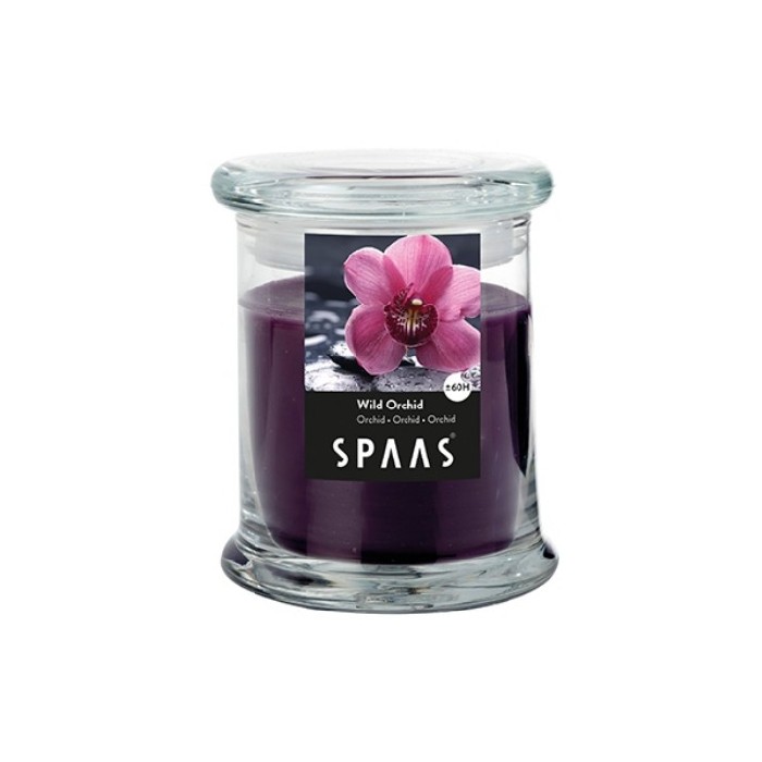 home-decor/candles-home-fragrance/spaas-household-glass-jar-wild-orchid