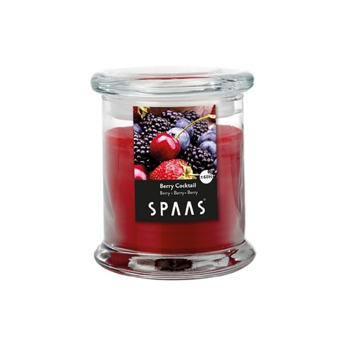 home-decor/candles-home-fragrance/spaas-household-glass-jar-berry-cocktail