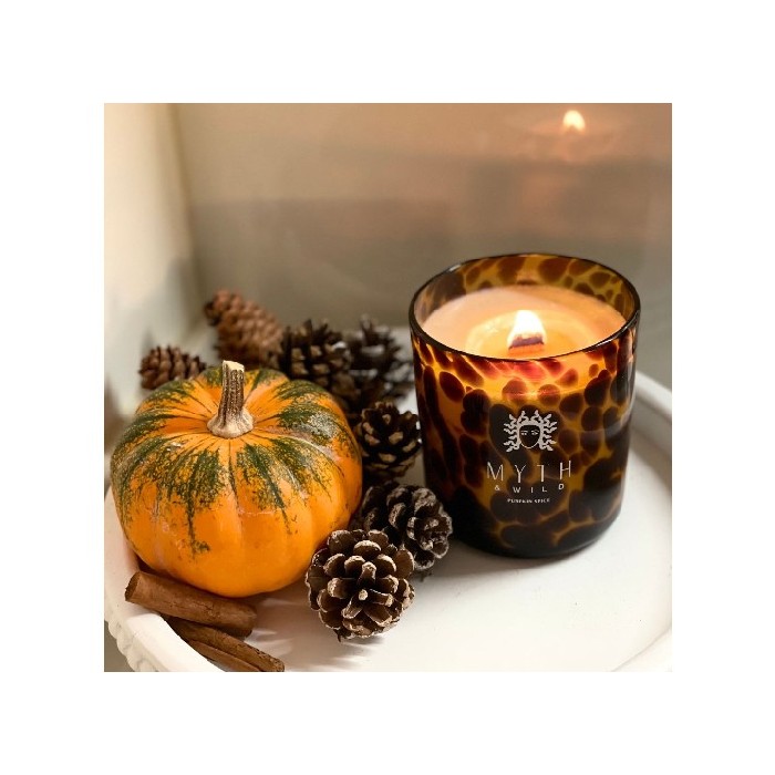 home-decor/candles-home-fragrance/myth-and-wild-pumpkin-spice-scented-jar