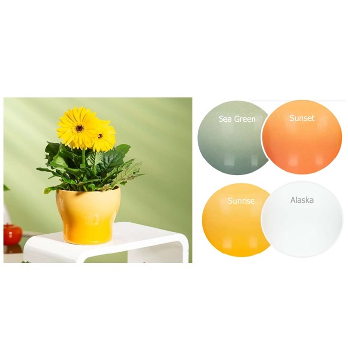 home-decor/indoor-pots-plant-stands/alaska-weiss-plant-pot-cover-824-diameter-13cm-4-assorted