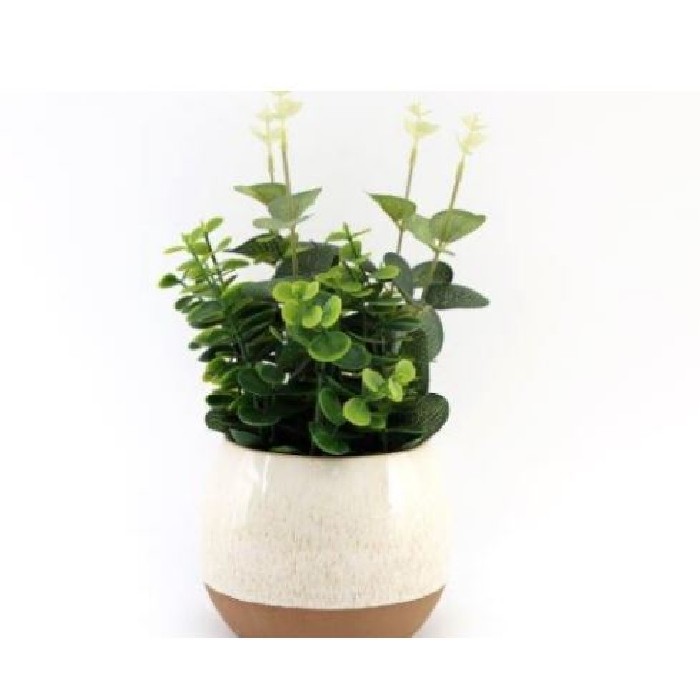 home-decor/artificial-plants-flowers/eucalyptus-in-natural-pot-22cm