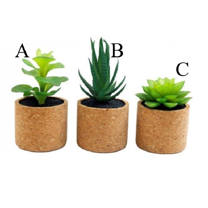 home-decor/artificial-plants-flowers/succulent-in-cork-pot-plant-9cm-3-assorted