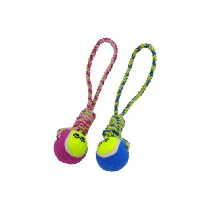 other/pet-care-accessories/stretchy-dog-pull