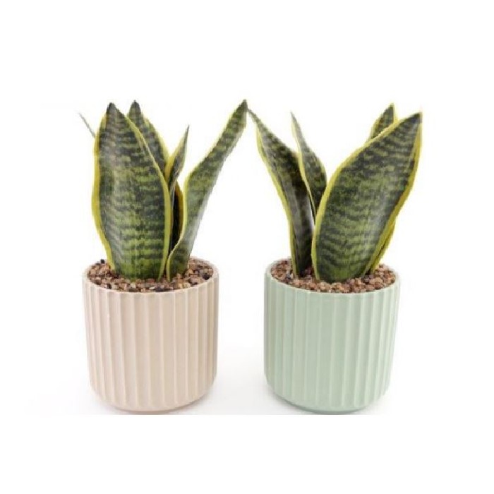 home-decor/artificial-plants-flowers/artificial-plant-in-pot-28cm-2-assorted