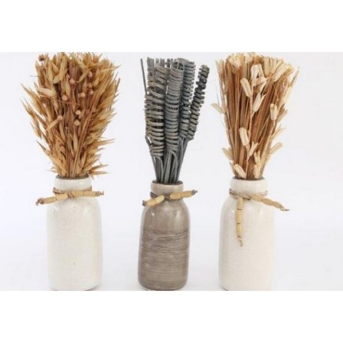 home-decor/vases/7cm-x-28cm-natdried-deco-in-vase