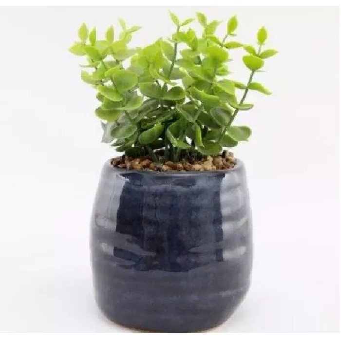 home-decor/artificial-plants-flowers/synergy-faux-succulent-in-navy-blue-ceramic-pot-2-assorted-designs