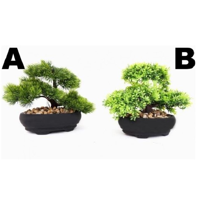 home-decor/artificial-plants-flowers/bonsai-tree-plant-20cm-x-30cm-2-assorted