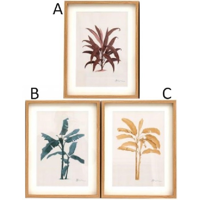 home-decor/wall-decor/tropical-palm-wall-art-30cm-x-40cm-3-assorted-designs