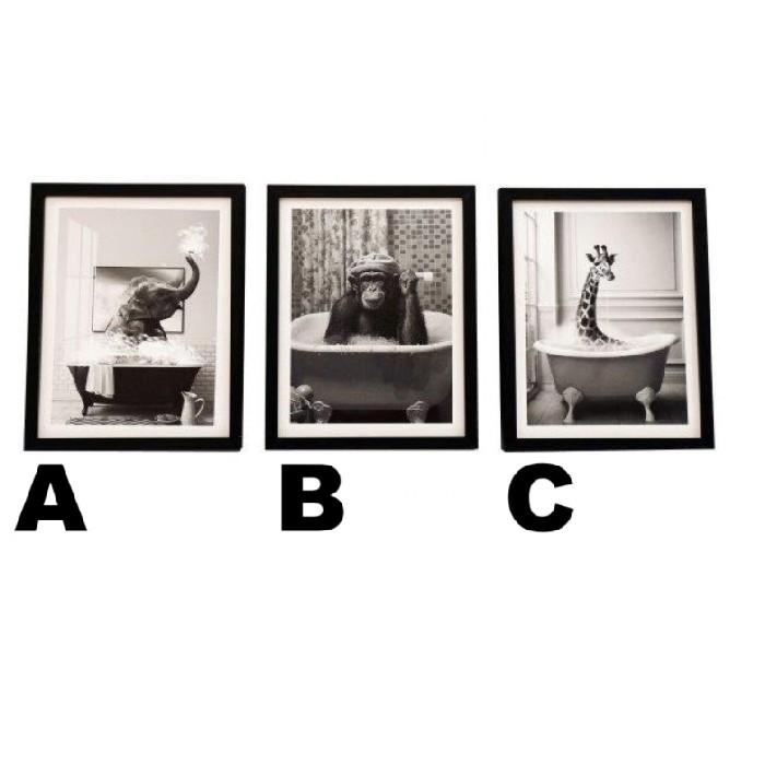 home-decor/wall-decor/animal-bath-framed-canvas-wall-art-20cm-x-25cm-3-assorted