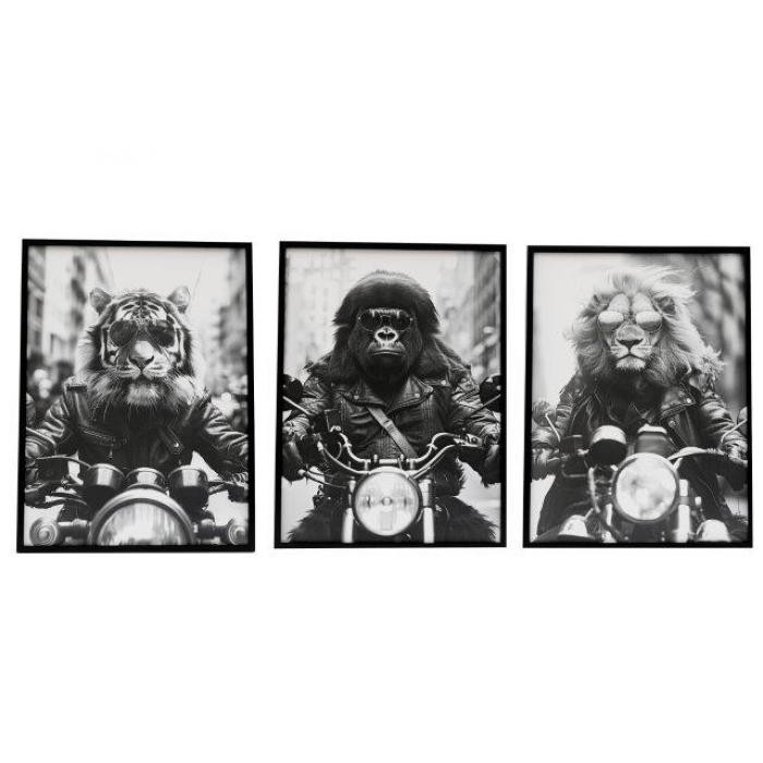 home-decor/wall-decor/animal-bike-canvas-wall-art-45cm-x-60cm-3-assorted