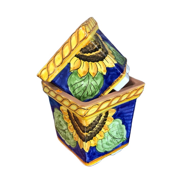 home-decor/indoor-pots-plant-stands/bristow-potteries-hand-painted-square-pot-20cm-2-assorted