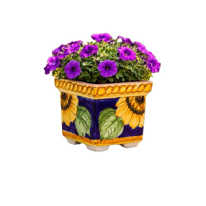 home-decor/indoor-pots-plant-stands/bristow-potteries-hand-painted-square-pot-25cm