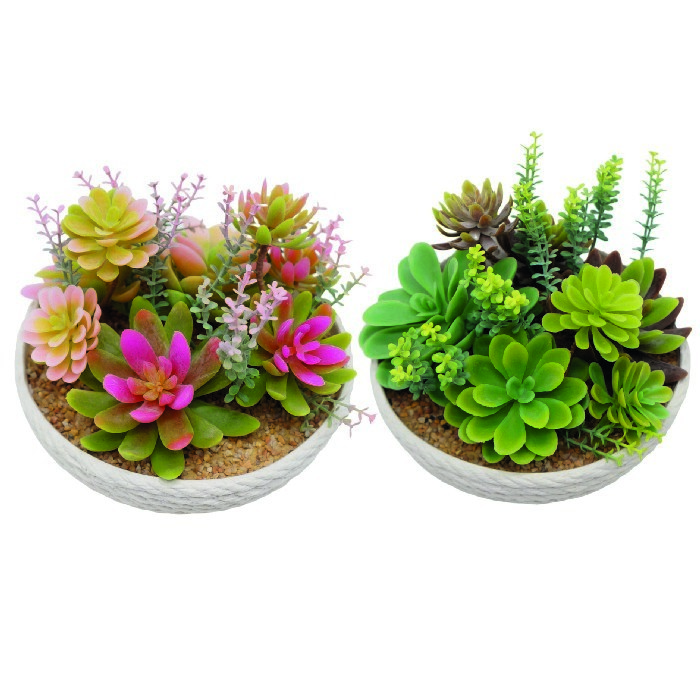 home-decor/artificial-plants-flowers/succulent-arrangement-in-a-white-rope-effect-pot-14cm-2-asstorted