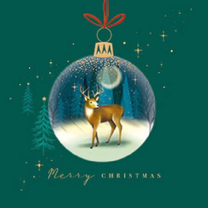 christmas/wrapping-paper-ribbons/noel-tatt-bb0152731-christmas-cards-box