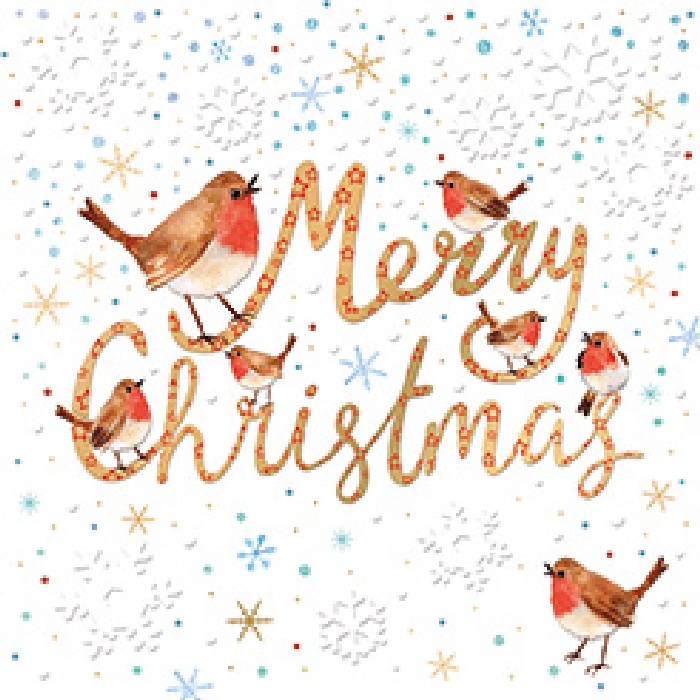 christmas/wrapping-paper-ribbons/noel-tatt-bb0452734-christmas-cards-box