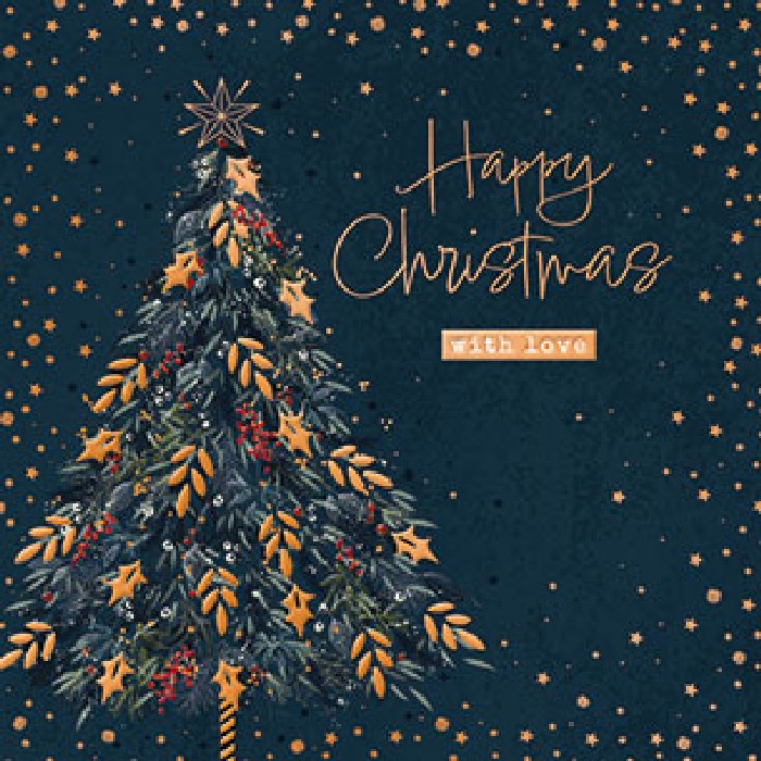 christmas/wrapping-paper-ribbons/noel-tatt-pb0752717-christmas-cards-box