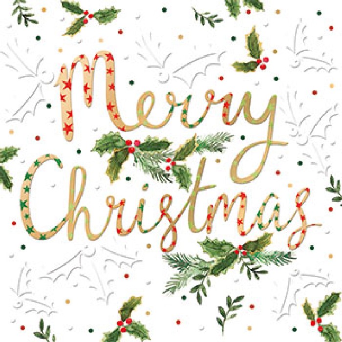 christmas/wrapping-paper-ribbons/noel-tatt-pb0852718-christmas-cards-box