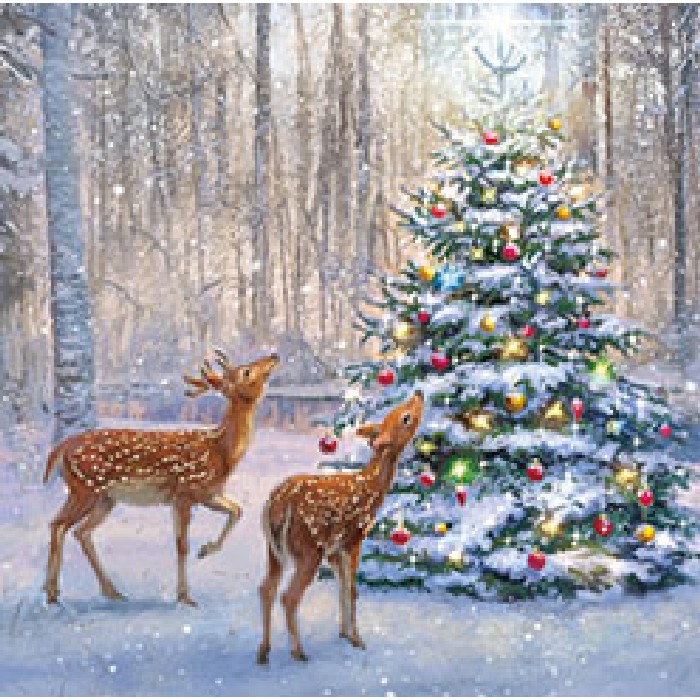 christmas/wrapping-paper-ribbons/noel-tatt-tb0152741-christmas-cards-box