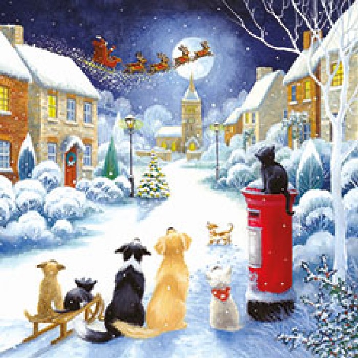 christmas/wrapping-paper-ribbons/noel-tatt-tb0852748-christmas-cards-box