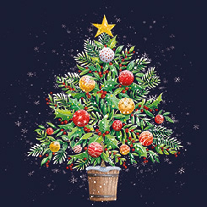 christmas/wrapping-paper-ribbons/noel-tatt-tb1052750-christmas-cards-box