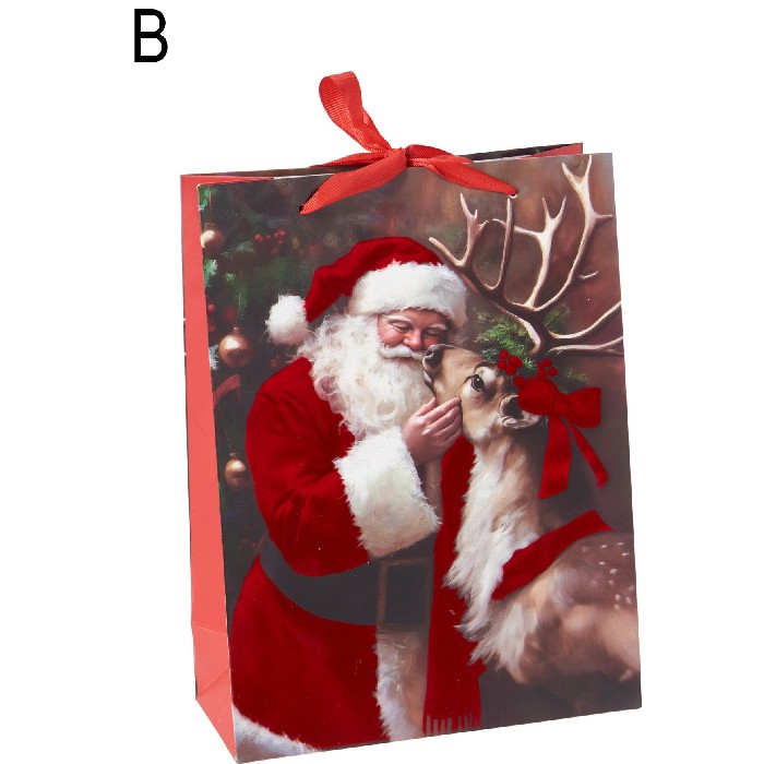 christmas/wrapping-paper-ribbons/christmas-gift-bag-santa-12cm-x-16cm-2-assorted